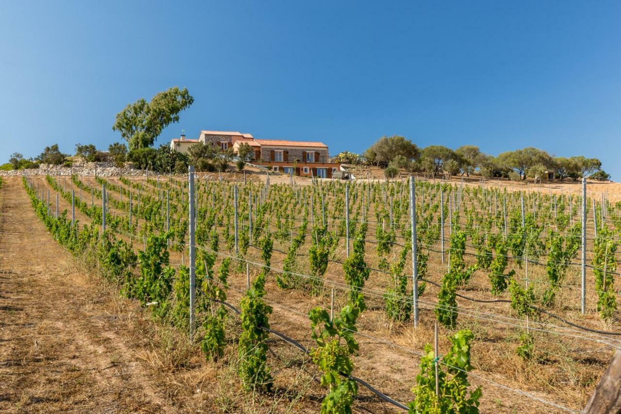 Tenuta Petra Bianca Villa Palau Exterior photo